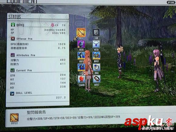 刀劍神域虛空幻界,傳說武器,屬性,圖鑒