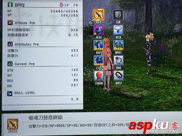 刀劍神域虛空幻界,傳說武器,屬性,圖鑒