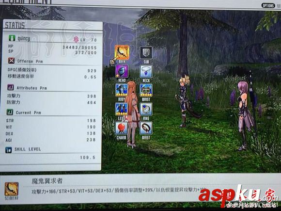 刀劍神域虛空幻界,傳說武器,屬性,圖鑒