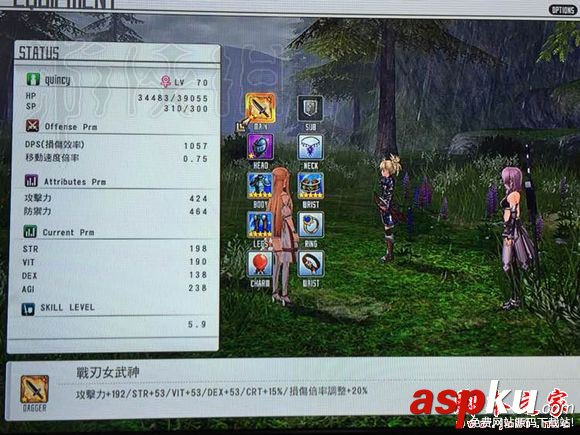 刀劍神域虛空幻界,傳說武器,屬性,圖鑒