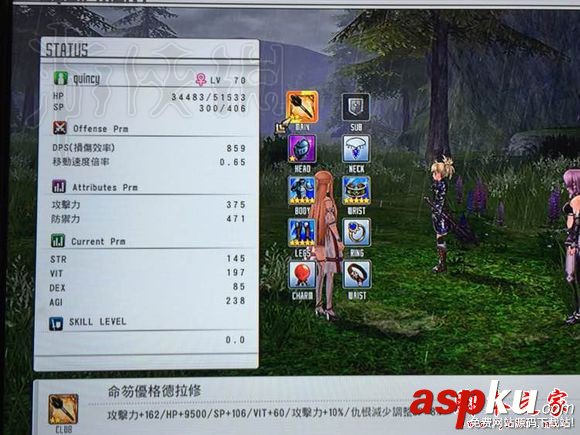 刀劍神域虛空幻界,傳說武器,屬性,圖鑒