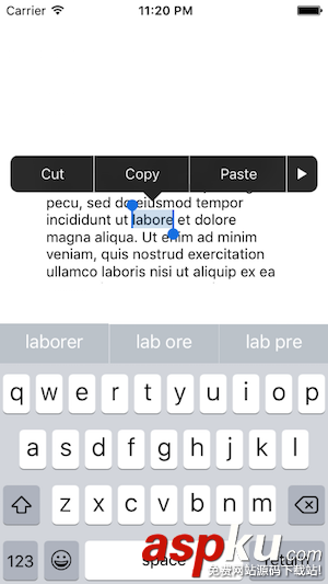 iOS,剪切,UIPasteboard,粘貼