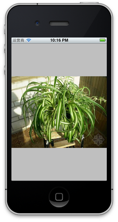 iOS開發中UIImageView控件的常用操作整理 iOS開發中UIImageView控件的常用操作整理