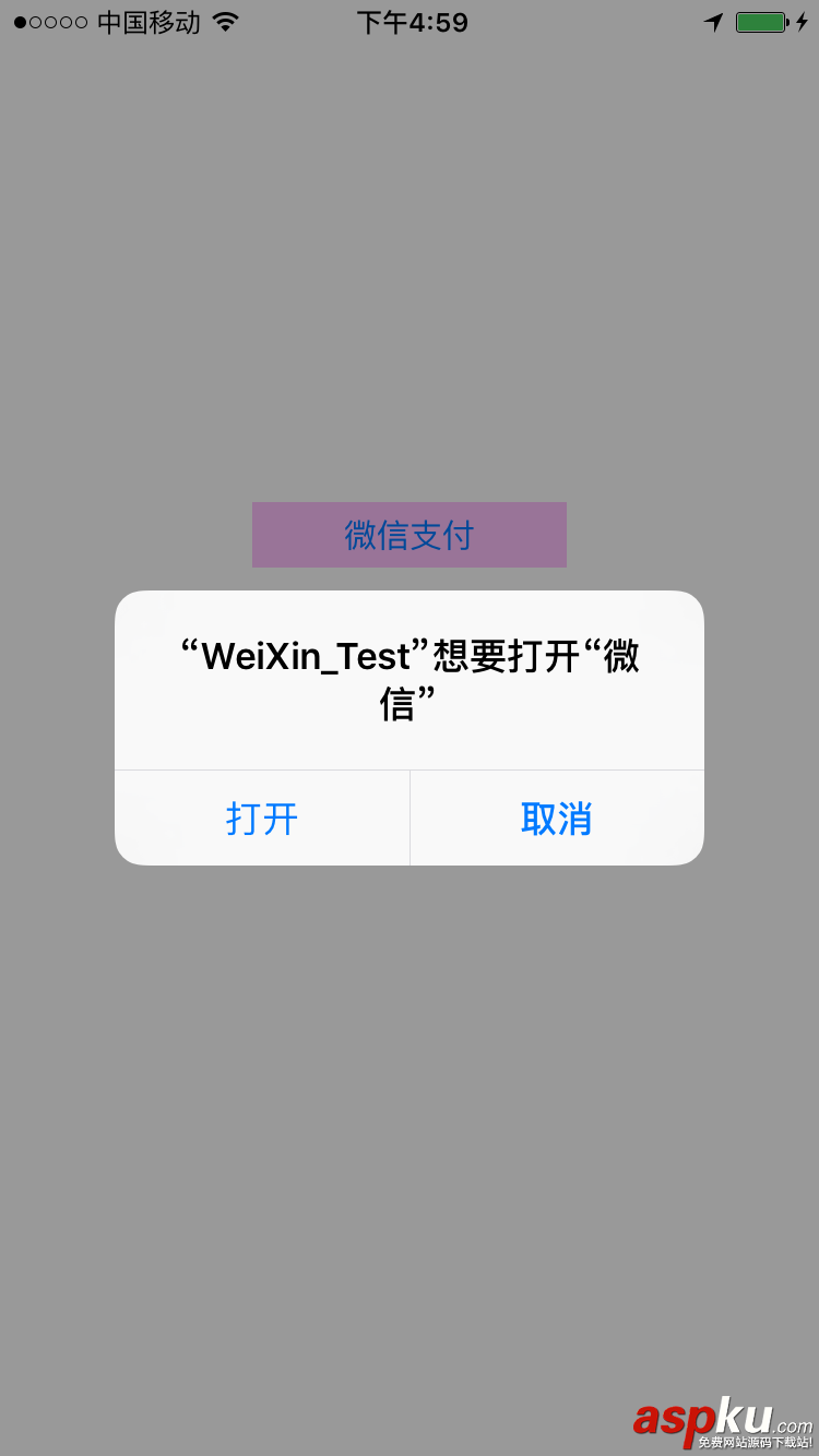 微信支付開(kāi)發(fā),IOS