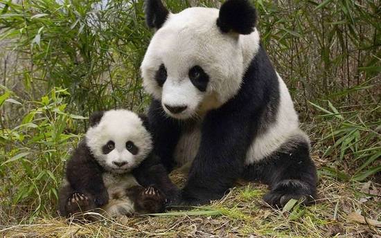 Android,仿抖音,照片電影,代碼