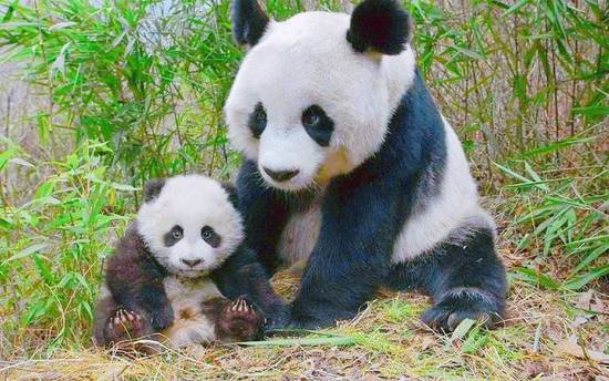 Android,仿抖音,照片電影,代碼