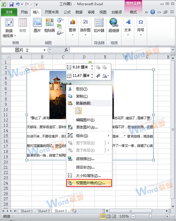 怎么把Word的內容以圖片格式插入到Excel2010中？