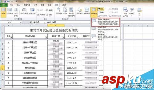 Excel表格,凍結窗,篩選