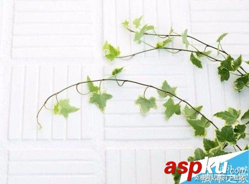 win10,韓文輸入法