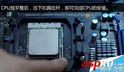 AMD CPU及散熱器安裝方法圖文教程 AMD,CPU,散熱器