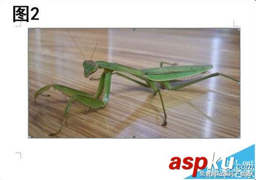 打印機打印圖片不完整總是缺一部分該怎么辦? 打印機