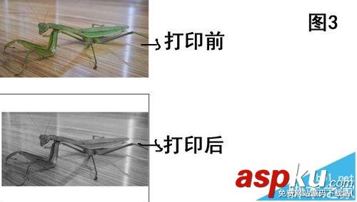 打印機打印圖片不完整總是缺一部分該怎么辦? 打印機