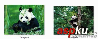 C#向PPT文檔插入圖片以及導(dǎo)出圖片的實(shí)例 C#,PPT文檔插入圖片,操作ppt,demo,ppt插入圖片