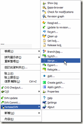 TortoiseSVN使用教程