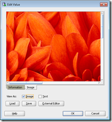 用C#將圖片保存至Oracle BLOB字段中的方法