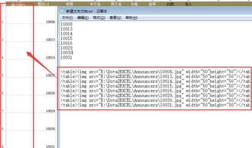 Excel2013如何批量插入圖片 Excel2013批量插入圖片的方法