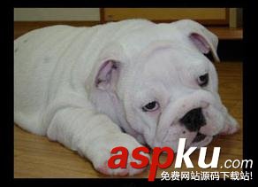 手機(jī)內(nèi)存卡壞了怎么辦?能修復(fù)嗎?