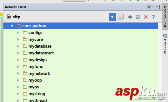 python使用PyCharm進(jìn)行遠(yuǎn)程開(kāi)發(fā)和調(diào)試 pycharm,調(diào)試python,遠(yuǎn)程調(diào)試,python