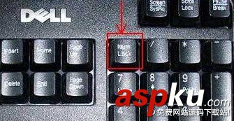 小鍵盤怎么開 筆記本電腦小鍵盤怎么用 小鍵盤