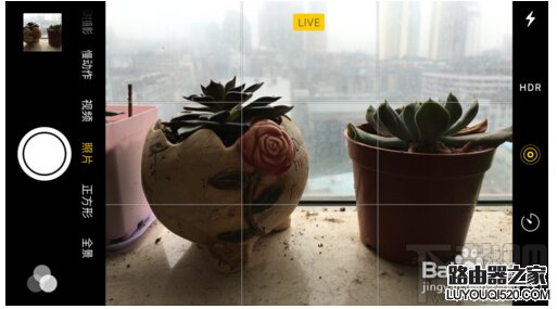 iPhone6s Live Photos怎么拍?蘋果Live Photos怎么用