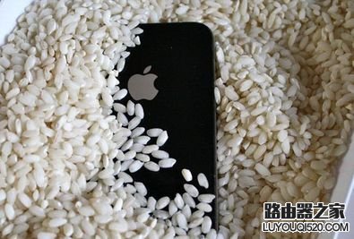 iphone6s掉水里怎么辦?iphone6s掉入水中的處理方法
