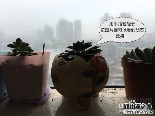 iPhone6s Live Photos怎么拍?蘋果Live Photos怎么用