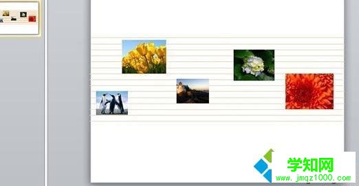 windows10系統(tǒng)ppt2010如何給圖片添加底紋 windows10系統(tǒng)ppt2010如何給圖片添加底紋