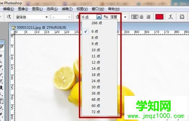 電腦中ps輸入字體不顯示是怎么回事 電腦中ps輸入字體不顯示是怎么回事