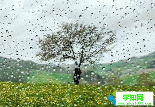 給win7電腦弄一個動態壁紙，每天不重樣