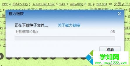torrentkitty怎么打開?電腦打開torrentkitty的方法 torrentkitty怎么打開?電腦打開torrentkitty的方法