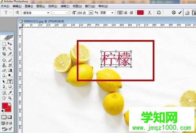 電腦中ps輸入字體不顯示是怎么回事 電腦中ps輸入字體不顯示是怎么回事