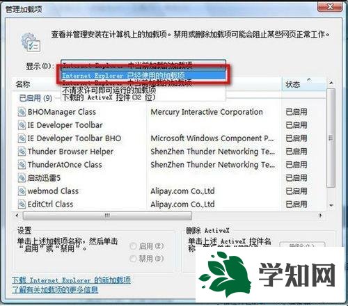 選擇“Internet Explorer 已經(jīng)使用的加載項”