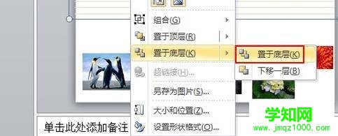 windows10系統(tǒng)ppt2010如何給圖片添加底紋 windows10系統(tǒng)ppt2010如何給圖片添加底紋