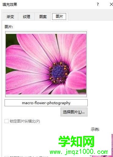windows10系統添加word背景圖片的方法 windows10系統添加word背景圖片的方法