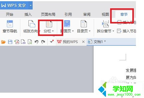 如何用WPS來設(shè)置分欄使排版更加整潔和美觀