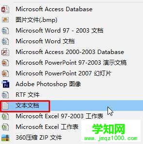 新建一個“文本文檔” 新建一個“文本文檔”
