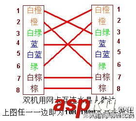 網線制作,網線水晶頭