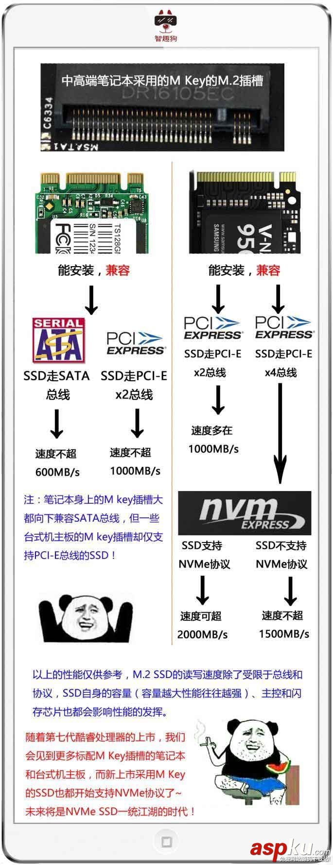 NVMe SSD是什么?5張圖讓你明白SSD那些事 SSD