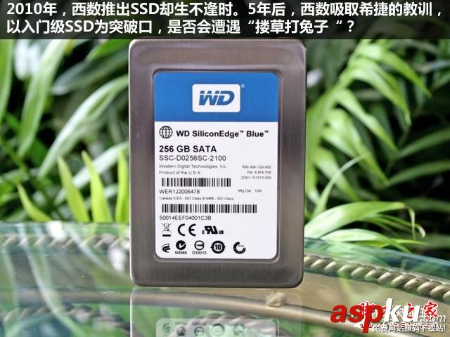 SSD固態硬盤真的能淘汰機械硬盤嗎? SSD,淘汰,HDD