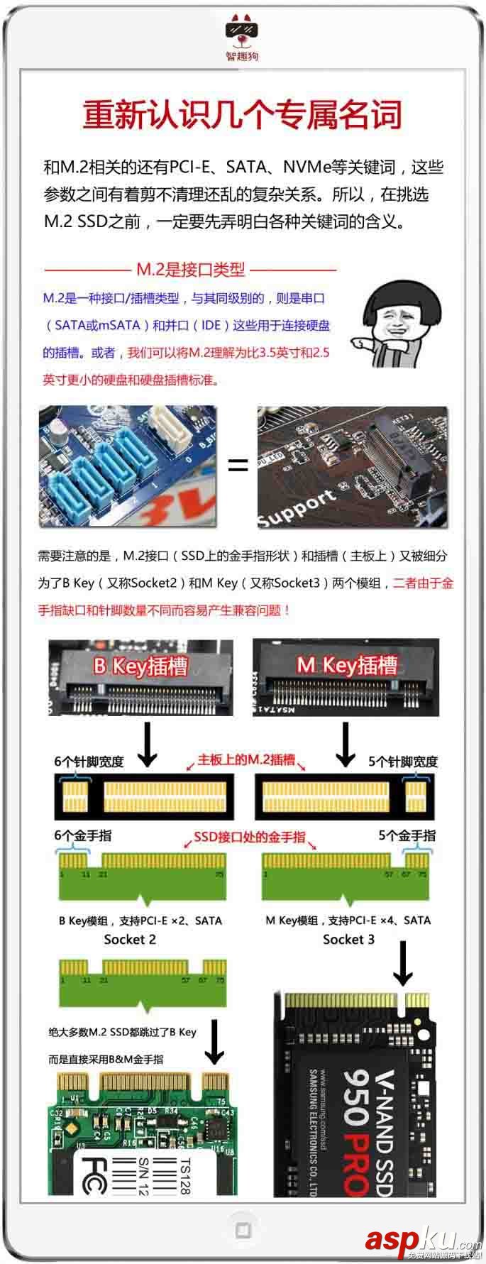 NVMe SSD是什么?5張圖讓你明白SSD那些事 SSD