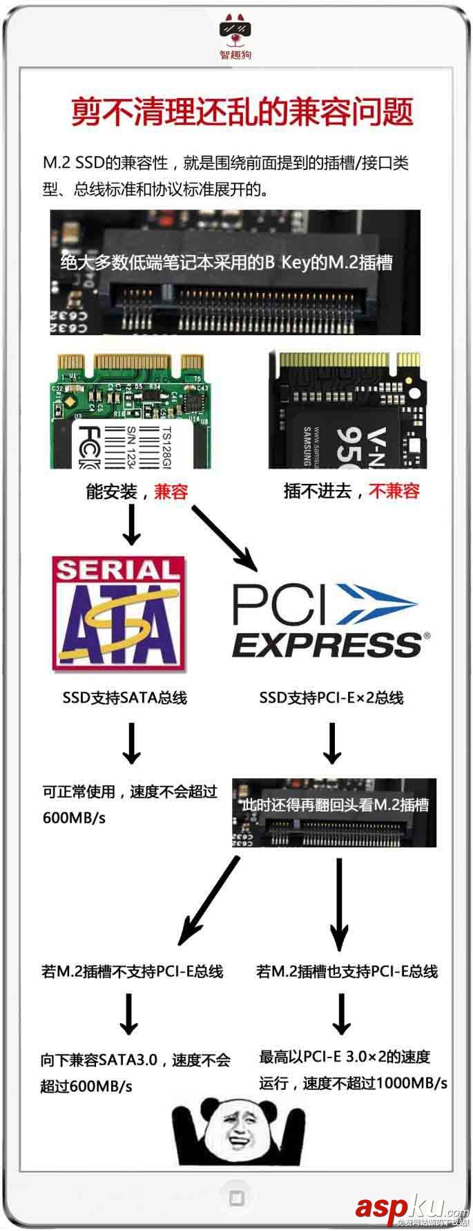 NVMe SSD是什么?5張圖讓你明白SSD那些事 SSD