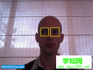 Eye Detection result