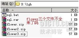 Bat腳本處理ftp超強案例分析 Bat腳本處理
