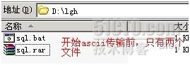 Bat腳本處理ftp超強案例分析 Bat腳本處理