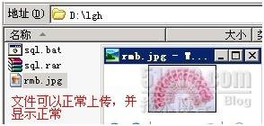 Bat腳本處理ftp超強案例分析 Bat腳本處理