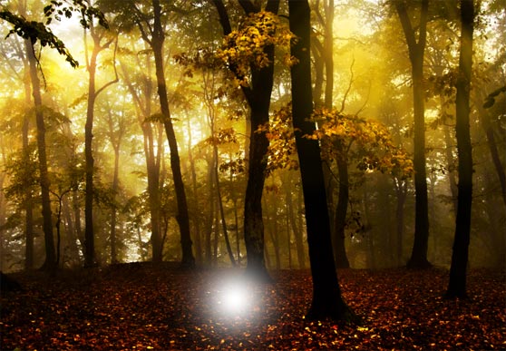 Photoshop給樹林圖片加上高清的投射光束