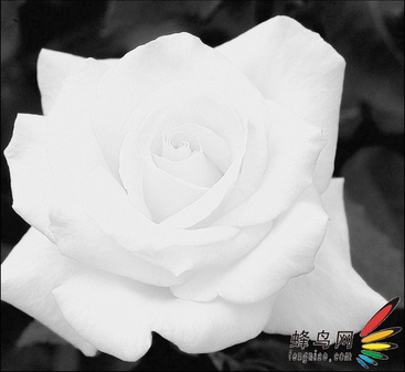 ps調色-深入理解通道