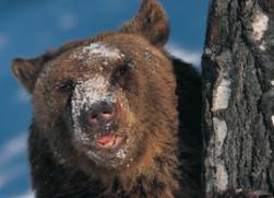 photoshop濾鏡教程-風格化