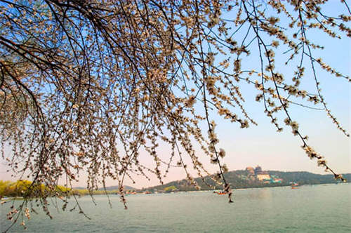 蒙板摳出復雜的圖片