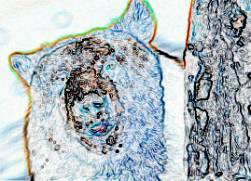 photoshop濾鏡教程-風格化